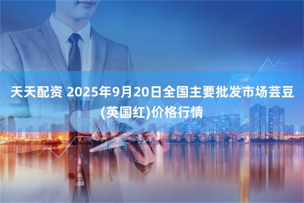 天天配资 2025年9月20日全国主要批发市场芸豆(英国红)价格行情