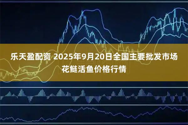乐天盈配资 2025年9月20日全国主要批发市场花鲢活鱼价格行情