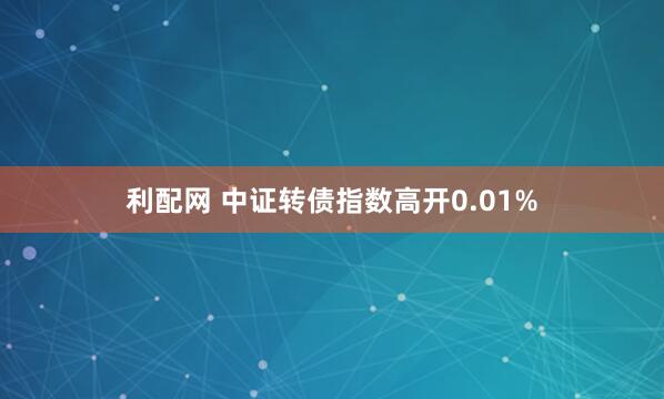 利配网 中证转债指数高开0.01%