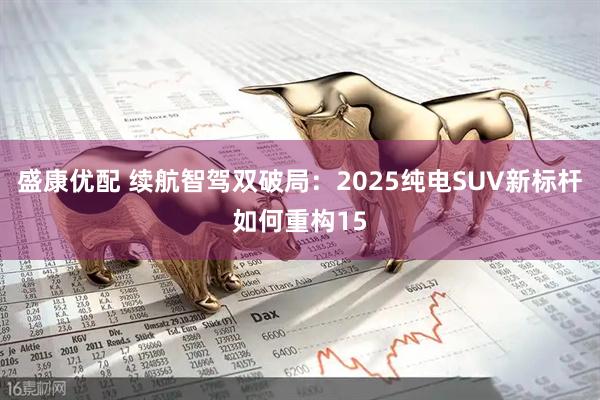 盛康优配 续航智驾双破局：2025纯电SUV新标杆如何重构15
