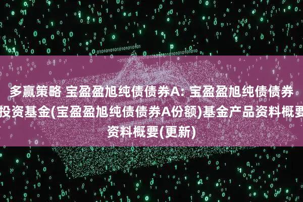 多赢策略 宝盈盈旭纯债债券A: 宝盈盈旭纯债债券型证券投资基金(宝盈盈旭纯债债券A份额)基金产品资料概要(更新)