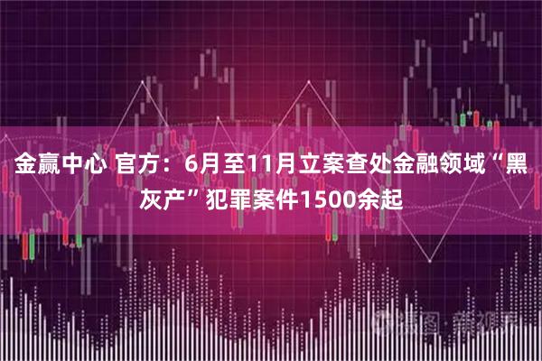 金赢中心 官方：6月至11月立案查处金融领域“黑灰产”犯罪案件1500余起