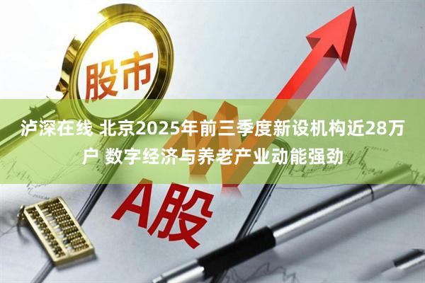泸深在线 北京2025年前三季度新设机构近28万户 数字经济与养老产业动能强劲